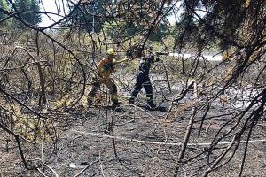 Dry conditions increase fire danger