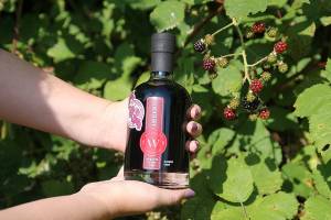 Berry picking leads to merry drinking