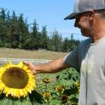 Sunny acres: Farm abloom with late summer bounty