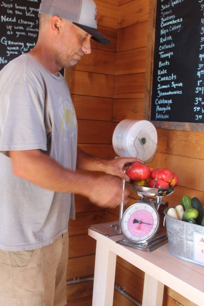 Stephen Williams weighs out some fresh-picked tomatoes at Foxtail Farm stand