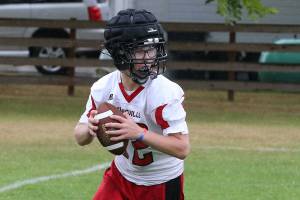 Photos: Wolves, Wildcats begin season / Football