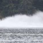 (Photo by John Fisken)