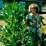 Linda Wehrman stands next to corn she grew in the Coupeville community garden in 2009. Photo provided