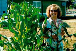 ‘20 for 20’ effort gives Coupeville community garden new hope