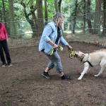 Puppy raiser Lauri Martin and service-dog-in-training Chief practice good behavior skills during the Puppy Olympics Kennel Run. Chief has some fun with the toy, prompting laughs from Martin and trainer Lindy Langum, who timed the first Olympic event at the volunteer appreciation picnic. (Photo by Maria Matson/Whidbey News-Times)