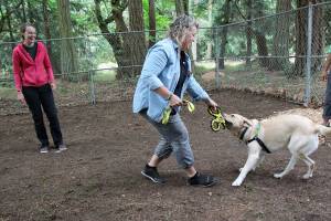 Service dogs compete in ‘Puppy Olympics’
