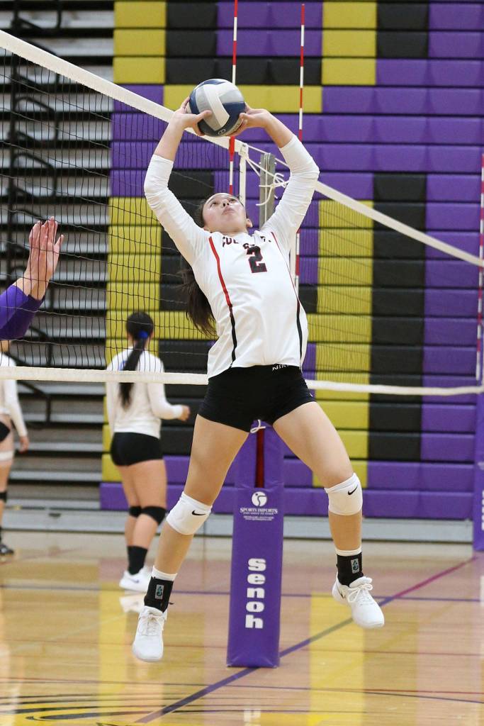 Coupevilles Scout Smith.(Photo by John Fisken)