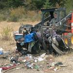 Business steps in to clean up encampment