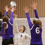 Wildcats sail by Cedarcrest / Volleyball