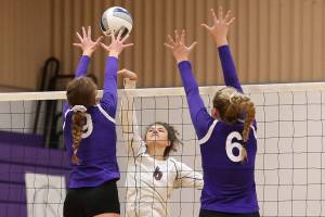 Wildcats sail by Cedarcrest / Volleyball