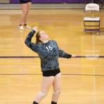 Emily Lamb comes off the bench to serve for the Wildcats.(Photo by John Fisken)