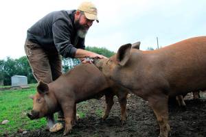Whidbey Island Grown Week grows with the flow