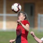 Wolves overcome early deficit / Soccer