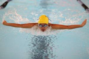 Stanwood strokes by Wildcats / Swim and dive