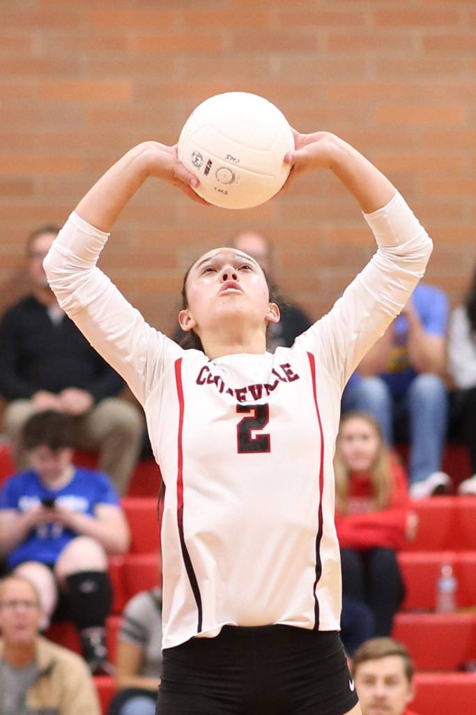 Scout Smith shoots a set for the Wolves.(Photo by John Fisken)