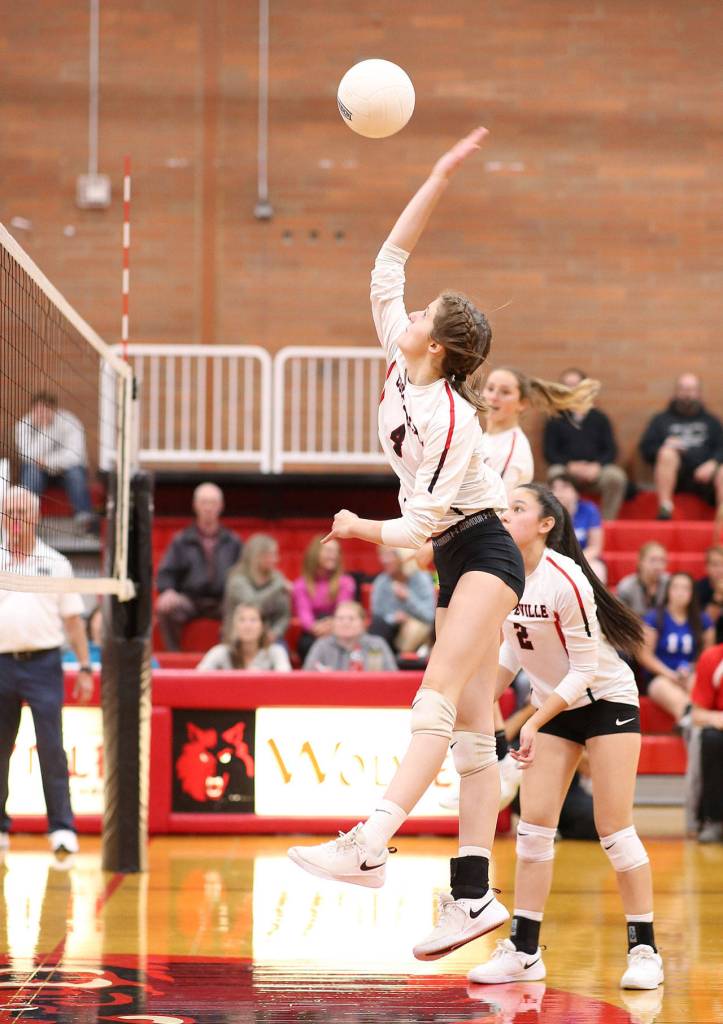 Maddie Vondrak hits for the Wolves.(Photo by John Fisken)