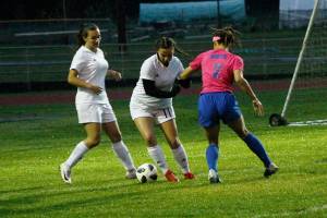 Wolves fall at SW but still in playoff hunt / Soccer