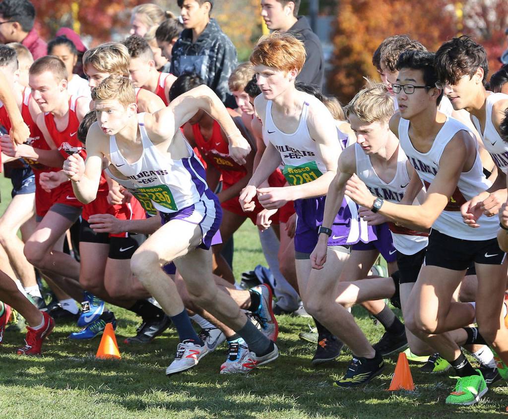Oak Harbor boys start.(Photo by John Fisken)