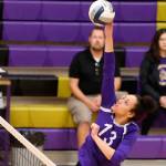 Trump card: Ford adds talents to lineup / Volleyball