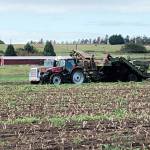 Ebey’s farm leases awarded to organic potato growers