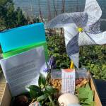 Island eatery serves up kindness