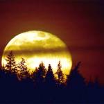 Pink Moon rising