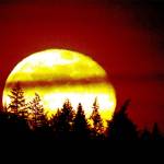 Pink Moon rising