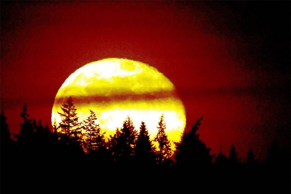 Pink Moon rising