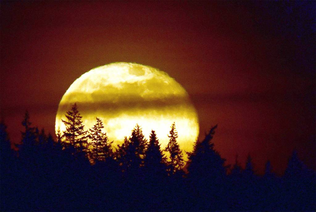 Pink Moon rising
