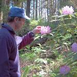 Sculpture park aims for August soft opening