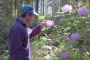 Sculpture park aims for August soft opening