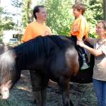 Not horsin’ around