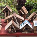Lions member building birdhouses to help food bank