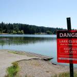 Nanobubbles one idea for ending toxic blooms in lake