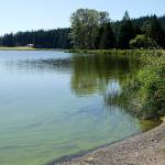 Nanobubbles one idea for ending toxic blooms in lake