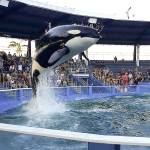 50 years since bloody roundup