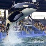 50 years since bloody roundup