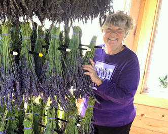 Rockin’ a Hard Place | Sarah Richards: growing lavender and setting down roots