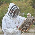 Happy to bee the ‘Bug Man’