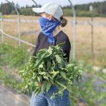 Growing Veterans connects military service members with peers to help the transition to civilian life. They have a fundraiser this Friday at the Blue Fox Drive-In. Photo provided by Tonneli Gruetter