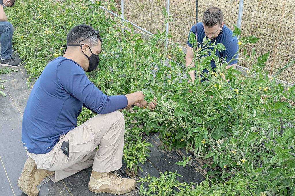 Fundraiser to highlight mental health, local talent