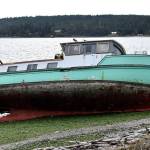 Photo submitted                                A wooden boat ran aground in Penn Cove after breaking loose from an anchor. A couple who had been living on the boat are on the run from the law.                                A wooden boat ran aground in Penn Cove after breaking loose from an anchor. A couple who had been living on the boat are on the run from the law. Photo submitted.