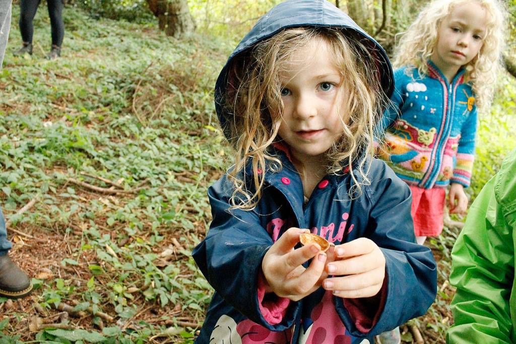 Rainey Stewart, 4, holds a hazelnut shell she found while on a nature walk. Her sister River, 6, looks on. The girls collect discoveries from the forest and use them in their education. Photo by Kira Erickson/Whidbey News-Times