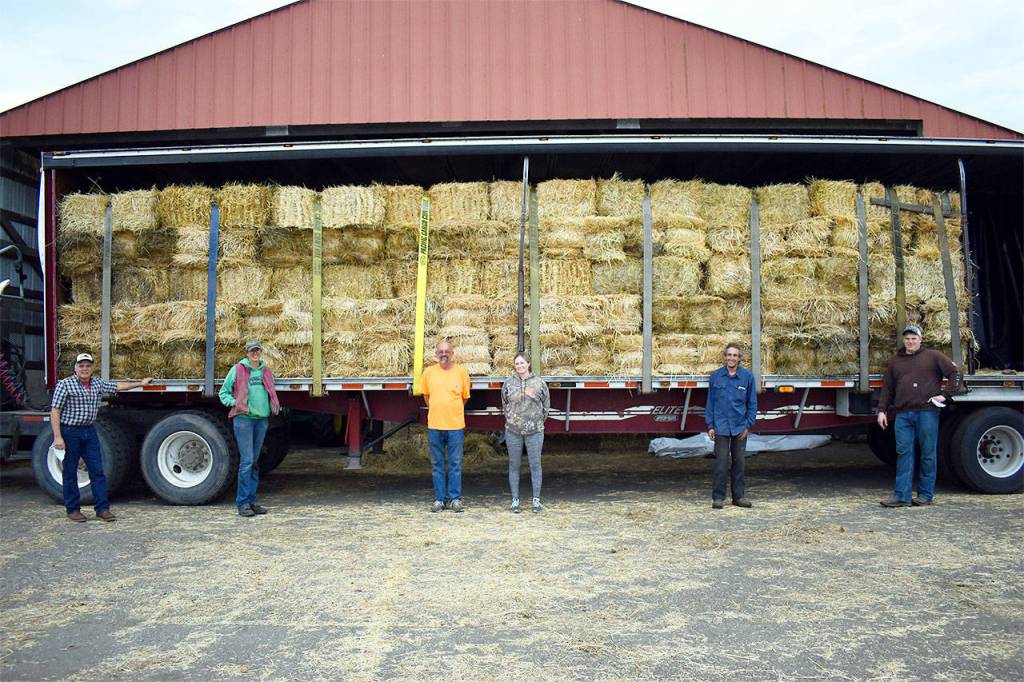 Volunteers Don Sherman, Jennifer Jones, Mike Hamilton, Kellie Hamilton, Jamie Tripp and Wailon Starling helped load tons of hay onto a donated trailer headed for delivery to Eastern Washington farmers affected by the wildfires.Photos by Emily Gilbert/Whidbey News-Times