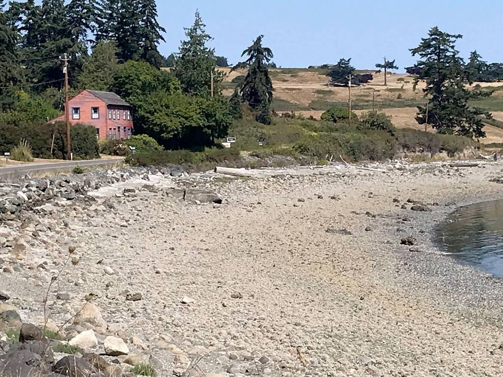 {"cameraType":"Wide","macroEnabled":false,"qualityMode":3,"deviceTilt":0.017945181578397751,"customExposureMode":1,"extendedExposure":false,"whiteBalanceProgram":0,"cameraPosition":1,"focusMode":1}