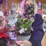Trish Marshall at Rain Shadow Nursery said houseplants are a popular holiday gift. Photo by Emily Gilbert/Whidbey News-Times