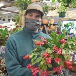 Nolan Mailliard from Mailliards Landing Nursery in Oak Harbor said Christmas cacti and other indoor plants are great gifts this holiday season. Photo by Emily Gilbert/Whidbey News-Times