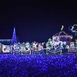 Its looking like a blue, blue, blue, blue Christmas at this home located on Hastie Lake Road. Photo by Emily Gilbert/Whidbey News-Times