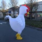 Whidbey Island Chicken spotted in Oak Harbor crossing the road to get to the other side. Emily Gilbert/Whidbey News-Times