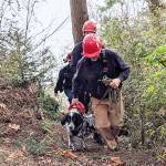 North Whidbey Fire and Rescue crew return with 15-year-old English settler, Morty, who slipped down a steep embankment during a morning walkabout. Photo courtesy North Whidbey Fire and Rescue.